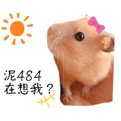 大家好，我是錢錢