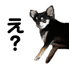 arisa_20230310235129