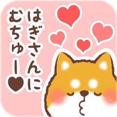 Love Sticker to Hagisan from Shiba 2