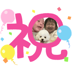 momoko_20230311155515