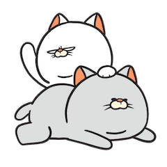 Catizen : Sosial