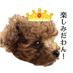 riechi_20230311173821