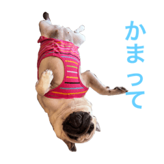hana_20230311192657