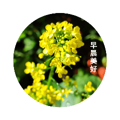 日安自然美好 – LINE貼圖 | LINE STORE