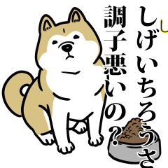しげいちろうリスペクト（プラチナ）