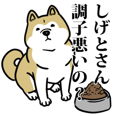しげとリスペクト（プラチナ）