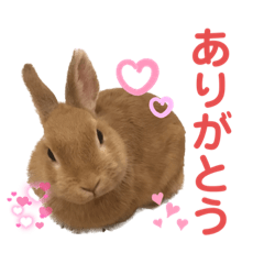 yuka_20230311185917