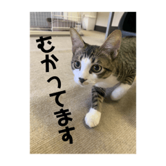 kana_20230312094326