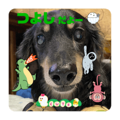 junko_20230311215637