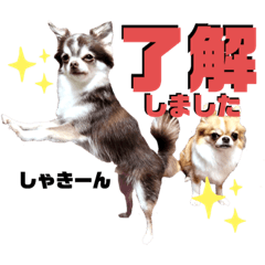 Nao_20230312115041