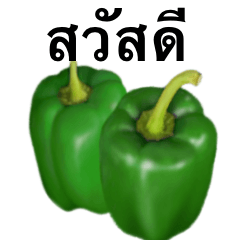 ピーマン です　タイ語　野菜