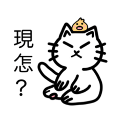 猫の社畜麻將時間