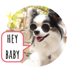 mizuki_20230313082655