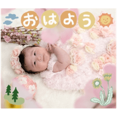 hikari_20230313054637