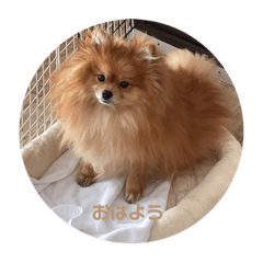 HIKARI_20230312161320