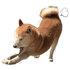 arisa_20230312173837