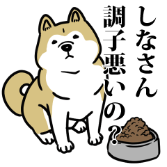 しなリスペクト（プラチナ）