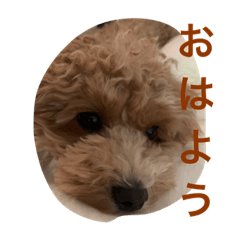 mizuki_20230312192839