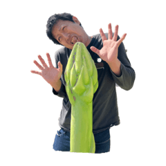 sunny_20230312202918