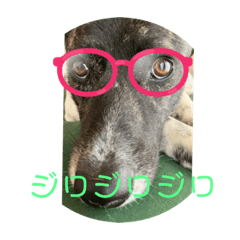 mitiko_20230312194626