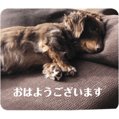hana_20230312232355