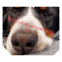 jinjin_20230313132706