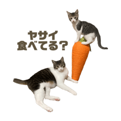kii_20230313111332