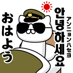 Military Cat @ Korean sticker