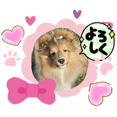 hana_20230312204520