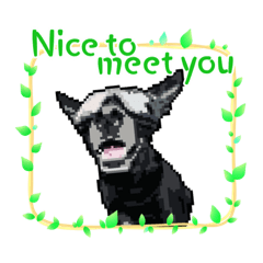 CHILI x Pixel