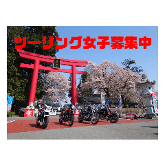 NORA_20230312215430