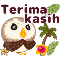 Fluffy owl Greeting Indonesian