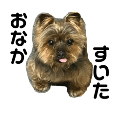 Arimarron_20230313143953