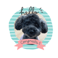 ALICE_20230313164017