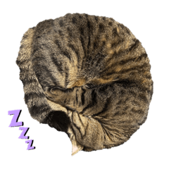 arisa_20230313232510