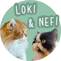 Nefi & Loki
