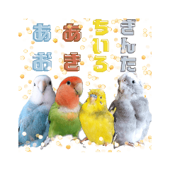 あおあきちいぎんvol.2