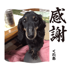 shiho_20230313203828