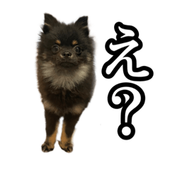 KAEDE_20230313203301