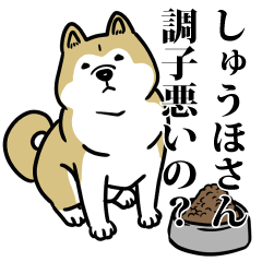 しゅうほリスペクト（プラチナ）