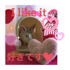 ARISA_20230312232744