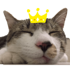 sayuri_20230314014911