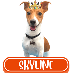 WOOFME WITH SKYLINE