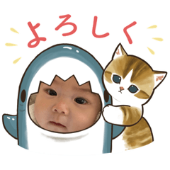 kana_20230313224730
