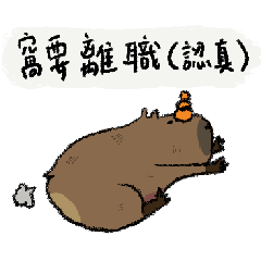 Hard-working capybara