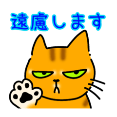 megumi_20230314161307