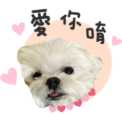 ～多寶