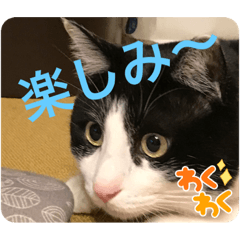 kana_20230314165105
