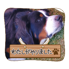 jinjin_20230315075432