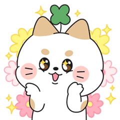 The feelings of Four-leaf clover CAT